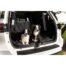 Pets Furever Double Car Seat Hammock Black