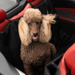 Pets Furever Double Car Seat Hammock Black