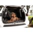 Pets Furever Double Car Seat Hammock Black