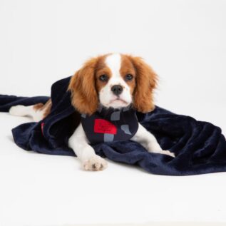 Pets Furever Blankie Pet Blanket