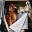 Pets Furever Deluxe Car Seat Hammock - Grey