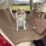 Kurgo Heather Travel Pet Hammock