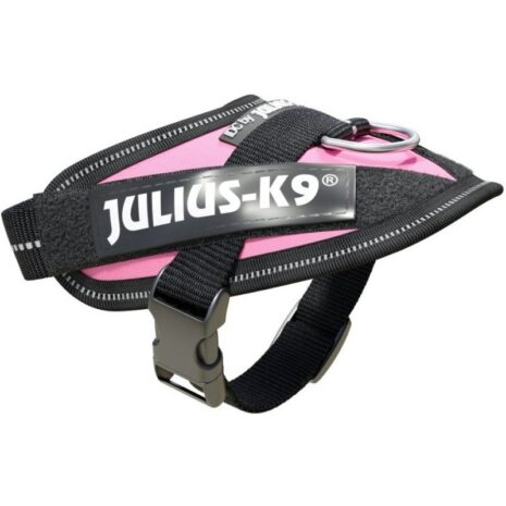 Julius_K-9_Baby_1_Pink_Harness