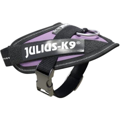 Julius_K-9_Baby_1_Purple_Harness