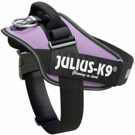 Julius_K-9_Size_1_Purple_Harness