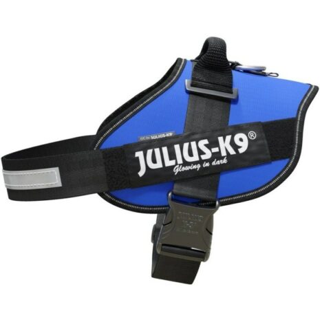 Julius_K-9_Size_3_Blue_Harness