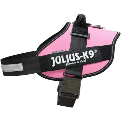 Julius_K-9_Size_3_Pink_Harness