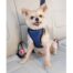 PetSafe-Happy-Ride-Safety-Harness-Small-2
