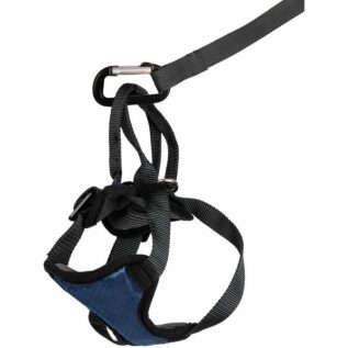 PetSafe Happy Ride Safety Harness Small