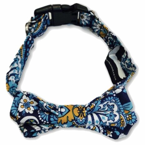 The_Dapper_Pet_Small_Paisley_Bow_Tie_Collar-1
