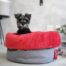 WagWorld-Nap-Sack-Pet-Bed-Red