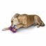 busy_buddy_small_ultra_woofer_dog_toy_3