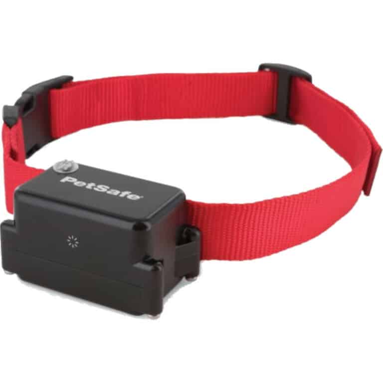 Pet Containment Systems & Invisible Dog Fence | Waggs Online Pet Shop - Covered Dog Containment Systems