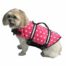 pink-polka-dot-dog-doggy-pet-life-v-2073792937