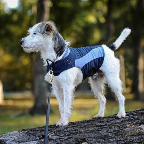 thundershirt_dog_anxiety_shirt_blue_2_1_1 thundershirt_dog_anxiety_shirt_blue_2_1_1