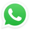 Waggs WhatsApp Chat