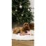 Rosewood Pig In Blanket Dog Toy
