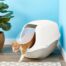 Moderna Smart Cat Toilet - Warm Grey