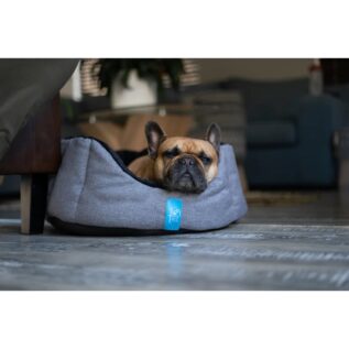 Pets Furever Tulip Pet Bed