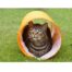 Rosewood Jolly Moggy Cat Tunnel