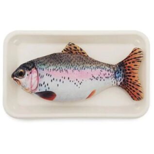 Rosewood Jolly Moggy Catnip Trout Toy