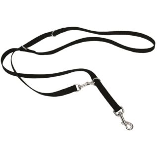 Rosewood Multi-Function Nylon Dog Lead