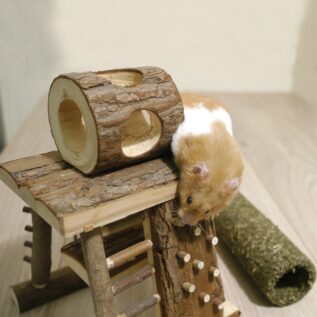 Rosewood Naturals Activity Hamster Climbing Tower