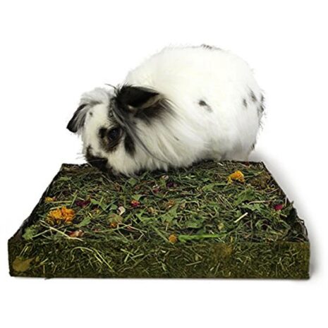Rosewood Naturals Nibble & Dig Meadow