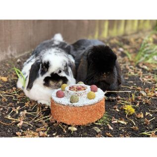 Rosewood Naturals Small Animal Celebration Cake
