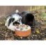 Rosewood Naturals Small Animal Celebration Cake