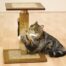 Rosewood Oregano Cat Scratcher