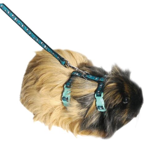 Rosewood Paw Print Harness & Lead - Small