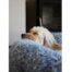 Rosewood Silver Fluff Comfort Round Pet Bed