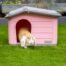 Rosewood Small Pet Knock-Down House - Pink
