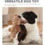 Outward Hound Blanket Buddies Bear Dog Toy