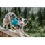 Outward Hound DayPak Dog Backpack Blue