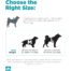 Outward Hound DayPak Dog Backpack
