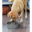 Outward Hound Fun Feeder Dog Bowl - Grey
