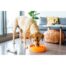 Outward Hound Fun Feeder Dog Bowl - Orange