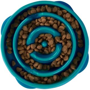 Outward Hound Fun Feeder Dog Bowl - Teal