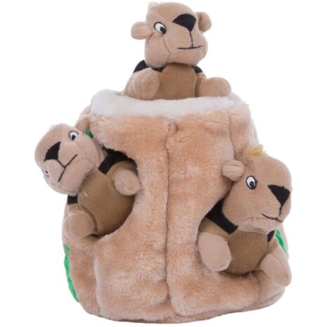 Outward Hound Hide-A-Squirrel Dog Toy - Medium