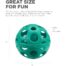 Outward Hound Holey Moley Dog Ball Stuffable Fetch Toy