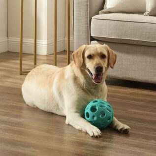 Outward Hound Holey Moley Dog Ball Stuffable Fetch Toy
