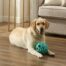 Outward Hound Holey Moley Dog Ball Stuffable Fetch Toy