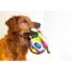 Outward Hound Invincible Gecko 2 Squeaker Dog Toy - Orange