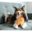 Outward Hound Invincibles Mini Chicky Dog ToyOutward Hound Invincibles Mini Chicky Dog Toy