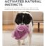 Outward Hound Jumbros Elephant Dog Toy