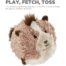 Outward Hound Jumbros Guinea Pig Dog Toy