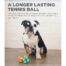 Outward Hound Max Tennis Ball - Blue