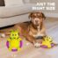 Outward Hound Ring Aroundrz Grasshopper Dog Toy